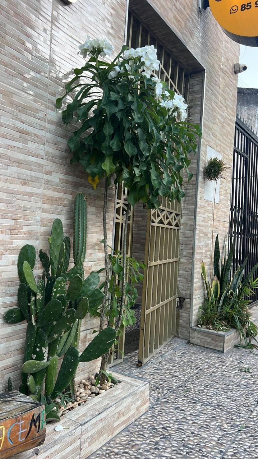 Pousada Iracema Centro - O Melhor Custo Beneficio Aqui!